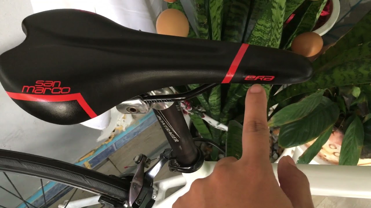 Trek 2.1 Alpha Series