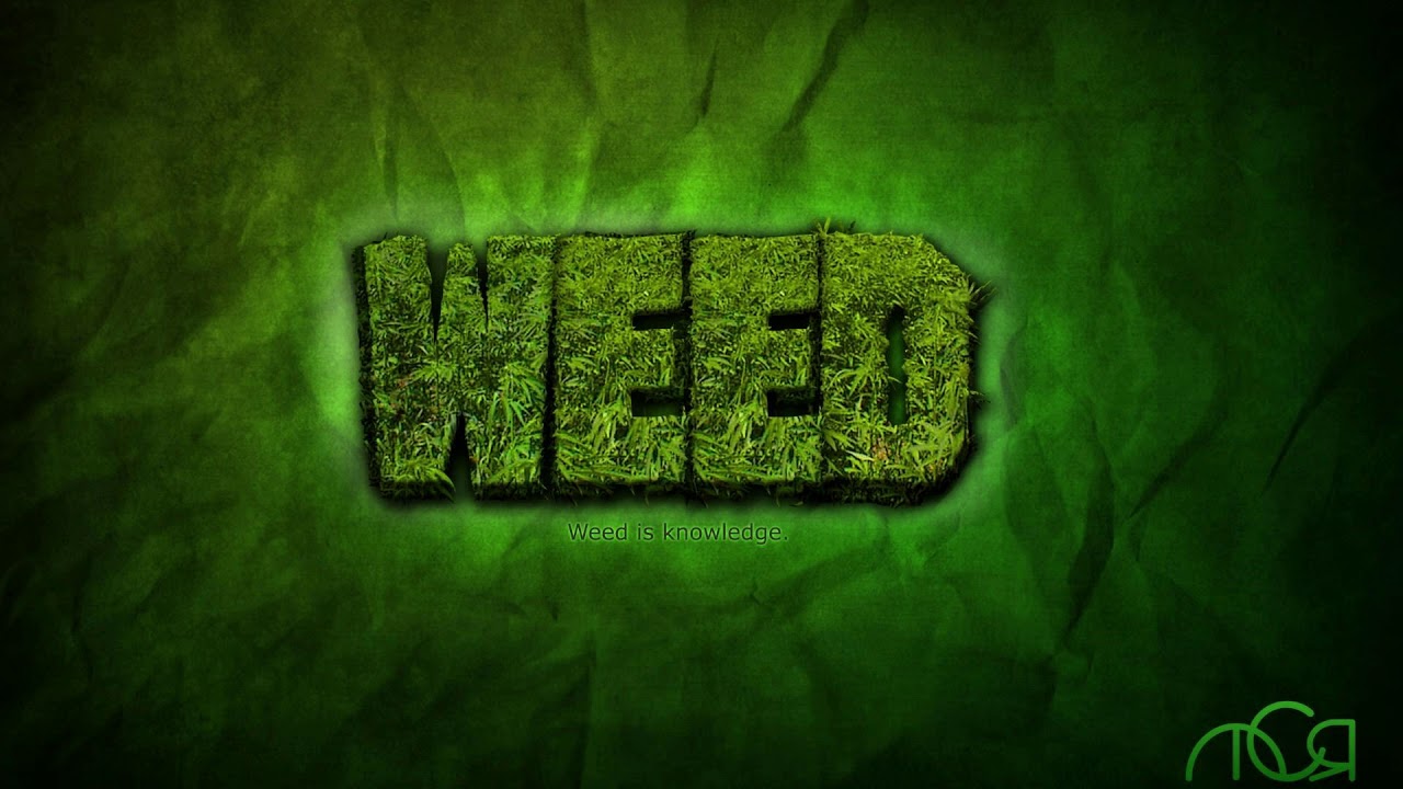 **WEED** Reggae Trap Beat Instrumental 2018 FD
