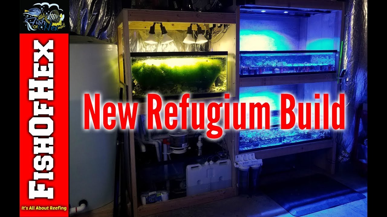 Adding 40 Gallon Breeder Refugium To The Existing Frag System