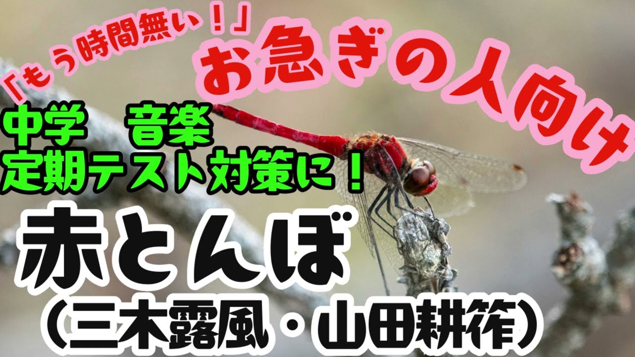 中学校　音楽　テスト対策　「赤とんぼ」三木露風　山田耕筰