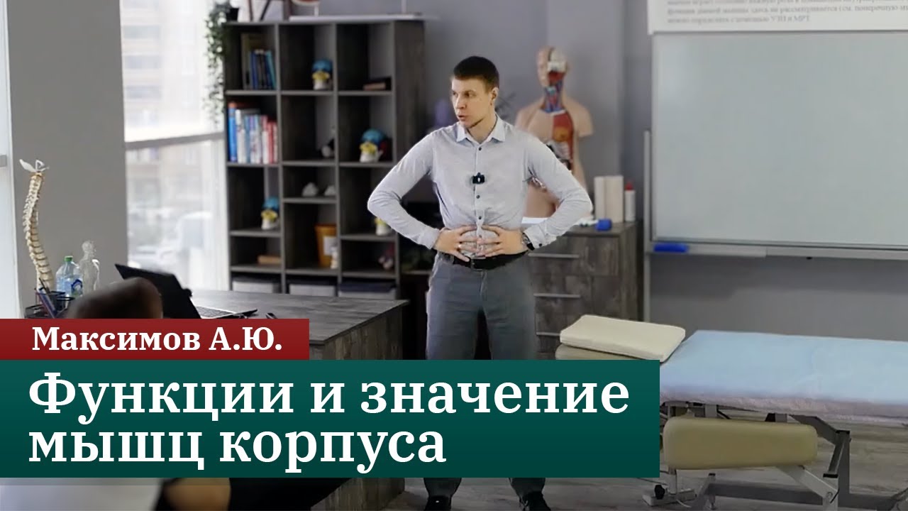 Основа мышечного баланса: функции и значение мышц корпуса. Максимов А.Ю.