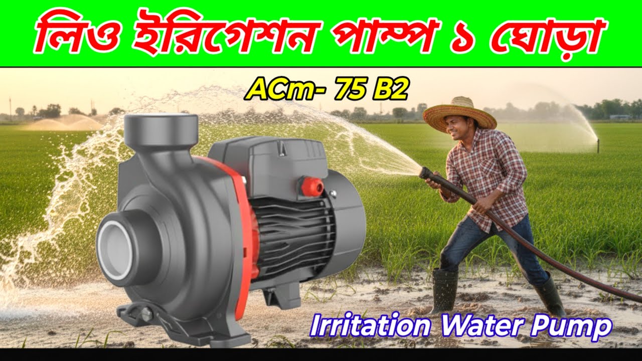 লিও ইরিগেশন পাম্প ১ ঘোড়া ২