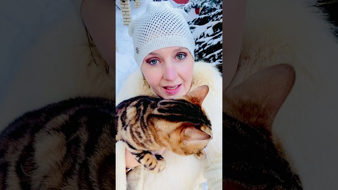 Всем хорошего настроения от нашего кота-бенгала Венза/22.02.26