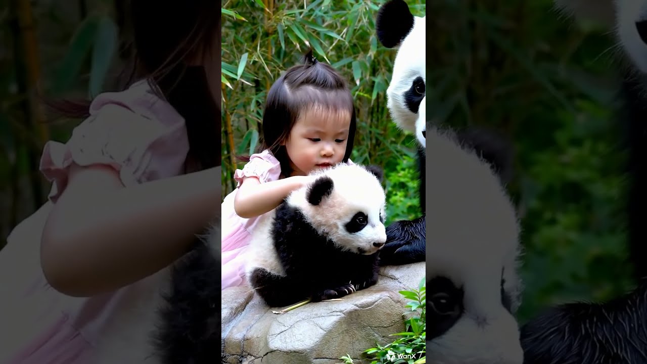 10 - Adorable Encounter: Toddler Kisses Baby Panda with Mom Watching #cute #heartwarmingbabymoments