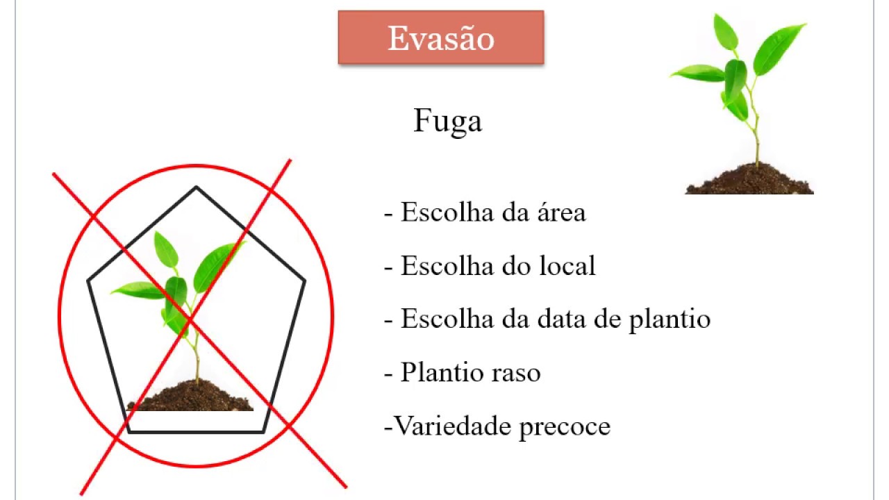 Aula 08 - Princípios Gerais de Controle de Doenças de Plantas