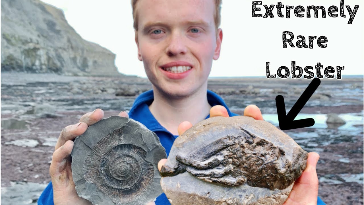 Jurassic Lobster Fossil! Fossil Preparation