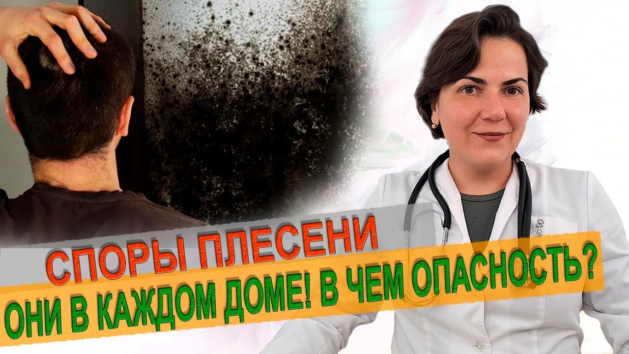 Споры плесени! Они в каждом доме. Что надо делать.  Врач аллерголог-иммунолог Екатерина Цывкина