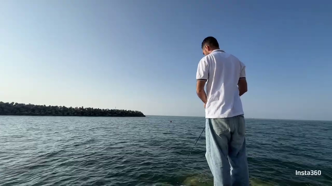 Jetty fishing magic on the Oman Sea! Yellowtail scads were swarming, couldn’t keep them off the line