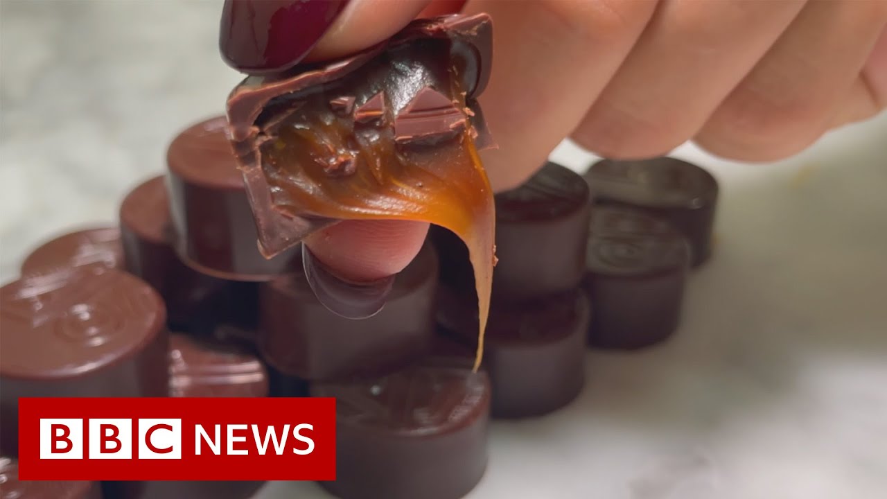 Can you replace cocoa in chocolate? &ndash; BBC News
