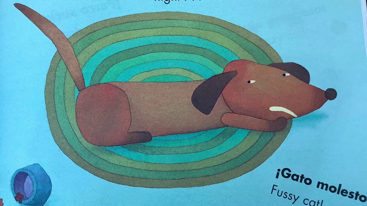 A Cat and a Dog Book by Claire Masurel / Bob Kolar Read aloud.