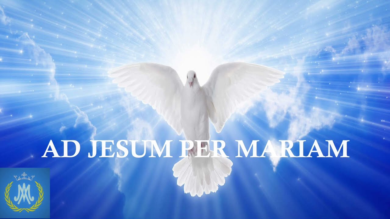 INTRO 