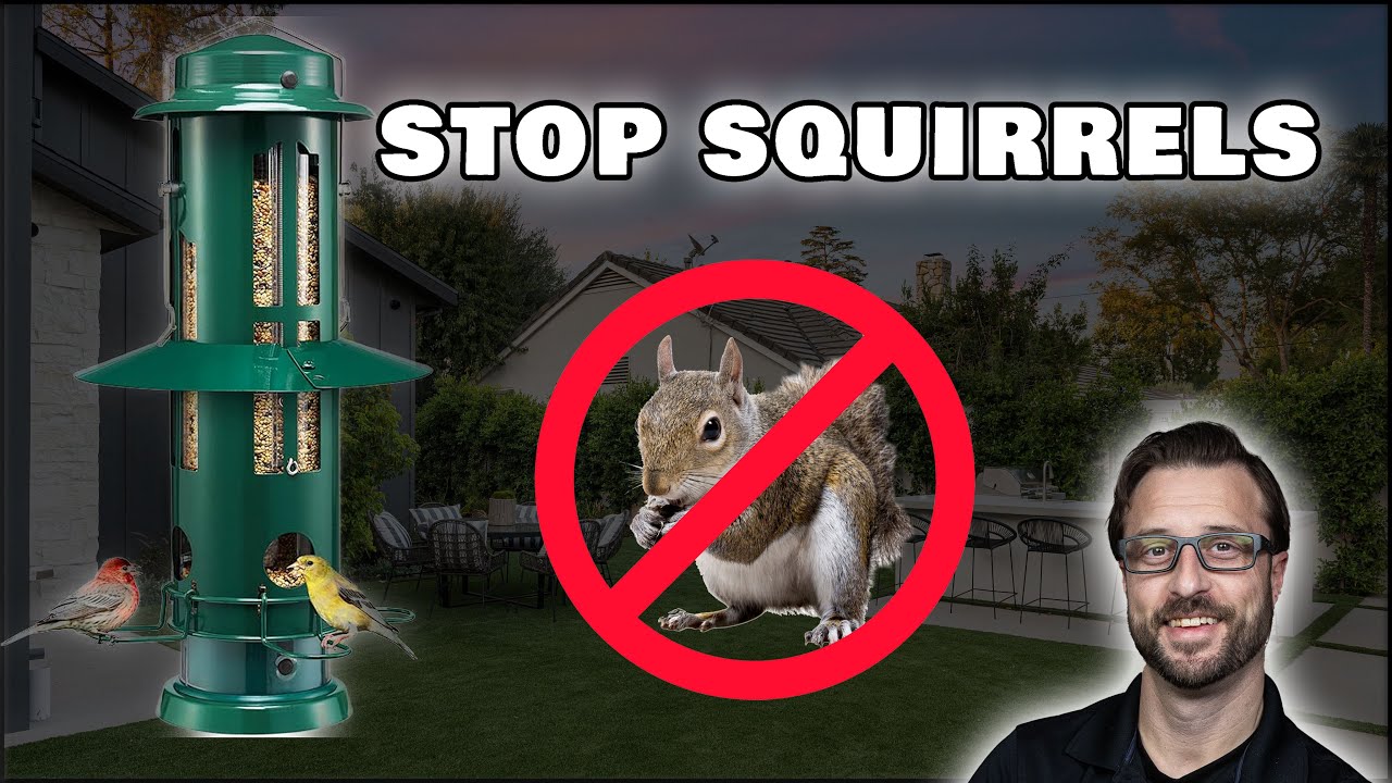 KingsYard Squirrel Proof Bird Feeder Review