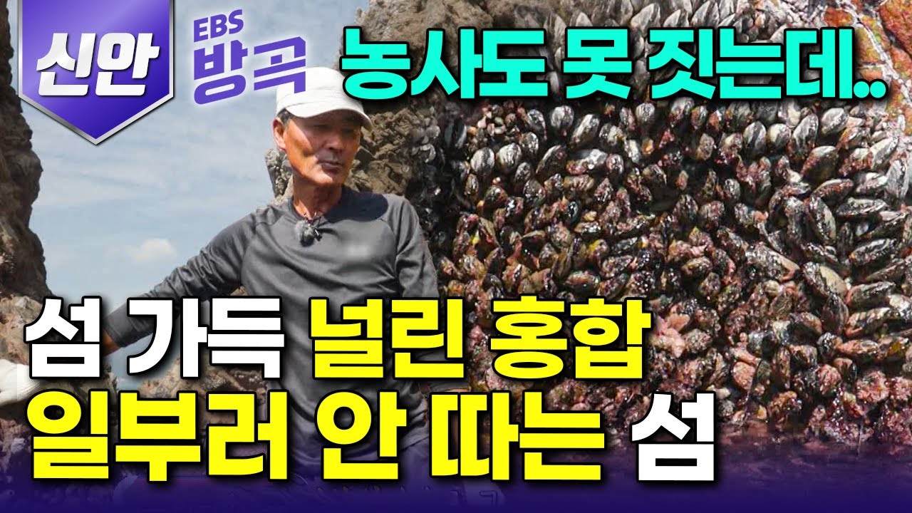 [전남 신안] 