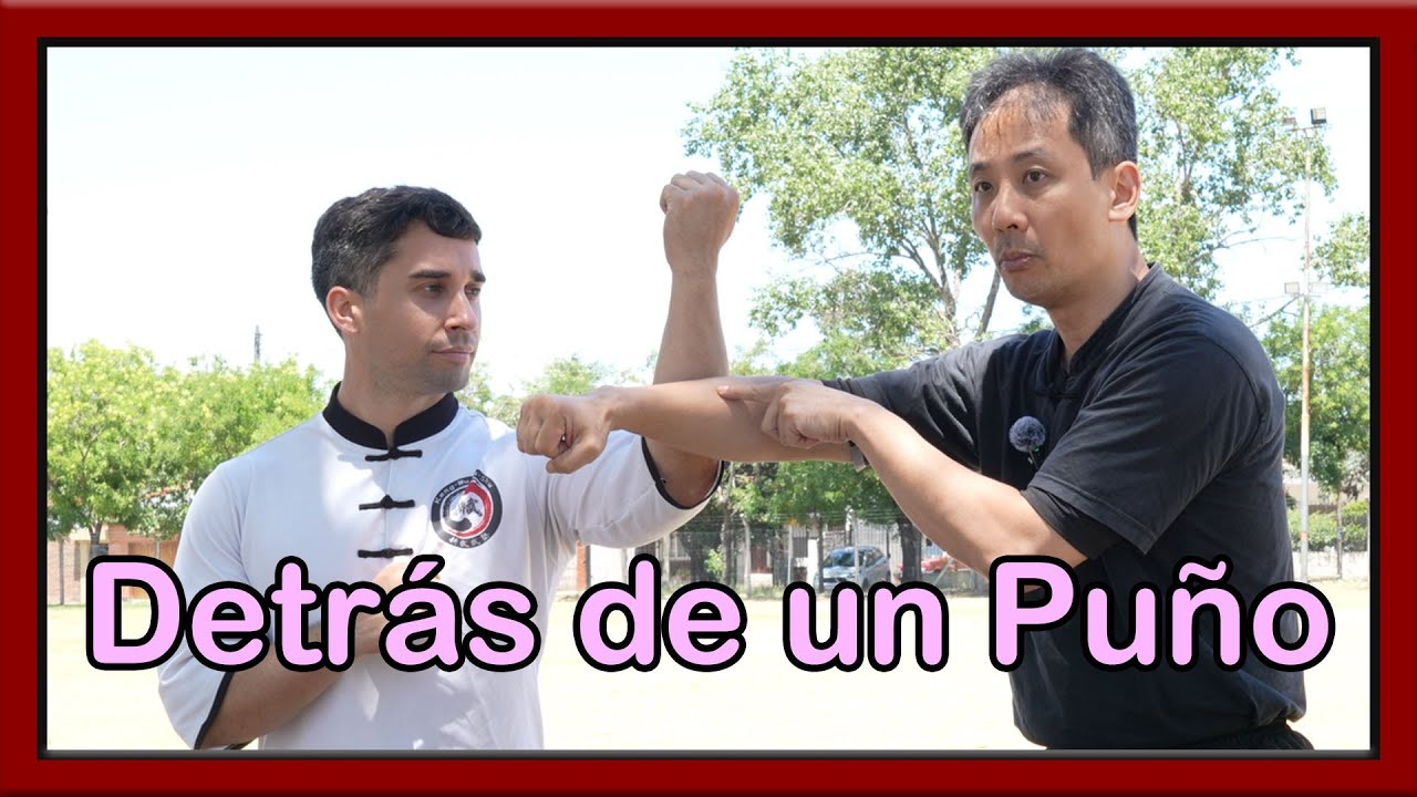 Detrás de un puño