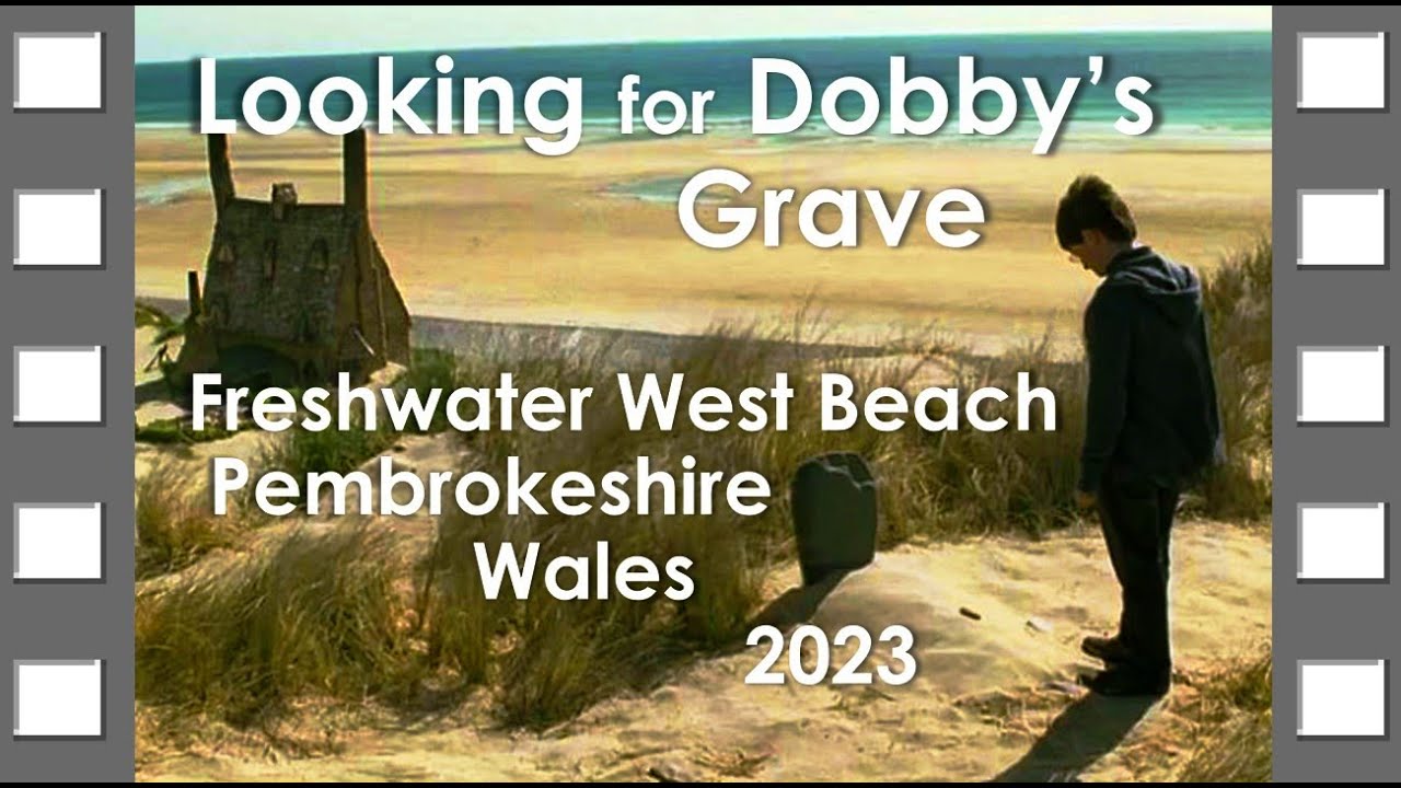 Looking for Dobby's Grave | Freshwater West | Pembrokeshire | Wales | 2023 | #harrypotter #dobby