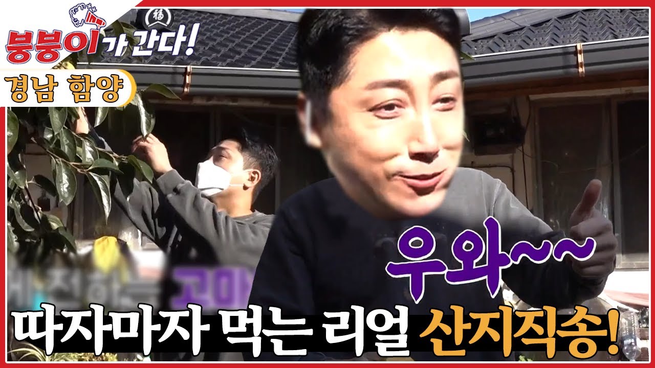 [붕붕이가 간다!] 꿈★은 이루어진다 [6시 내고향] | KBS 221031 방송