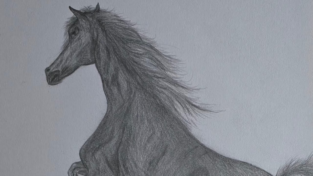 Drawing a Horse