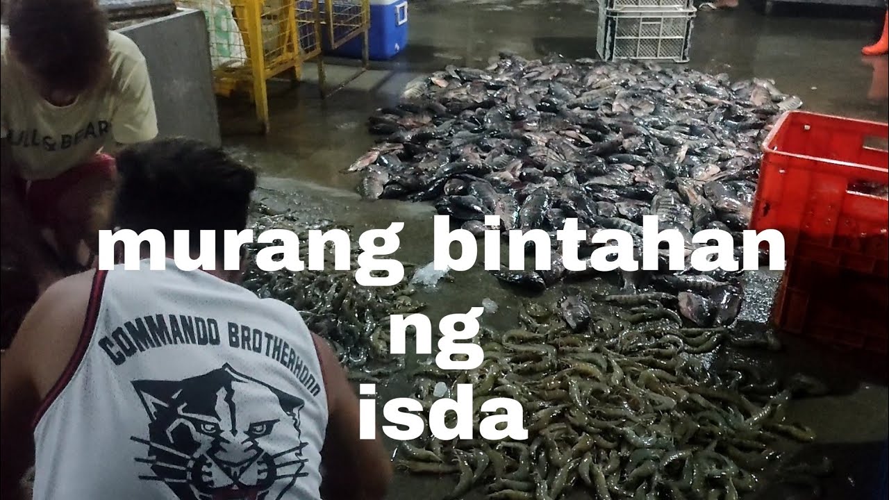 murang bagsakan ng telapia | macabebe pampanga