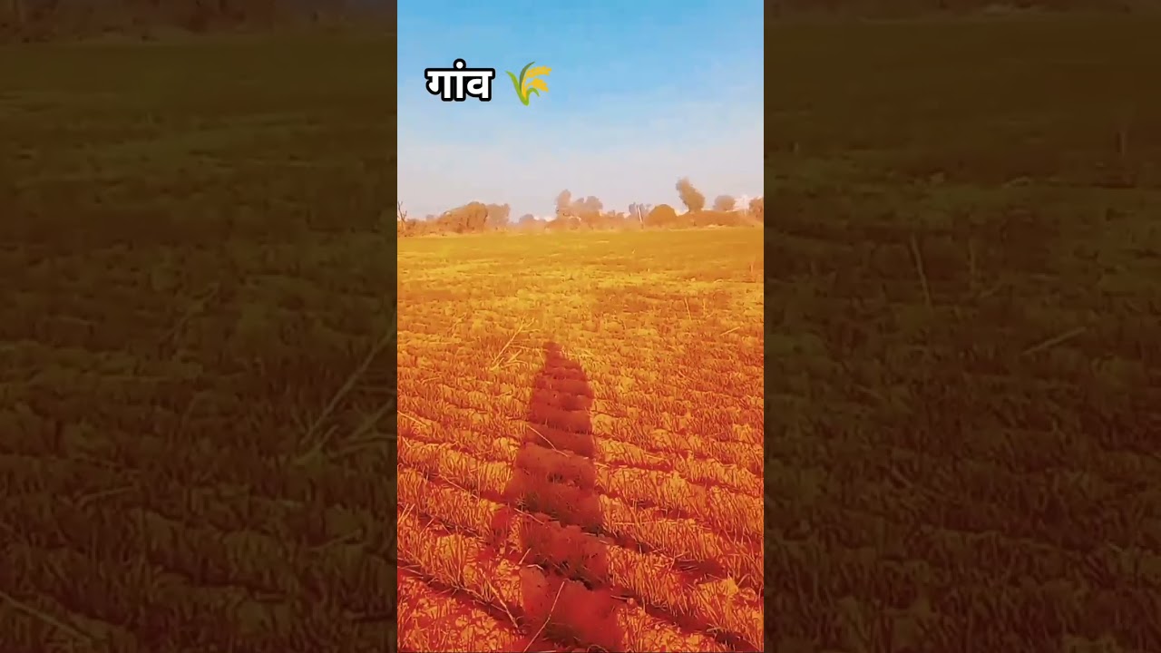 farming..........