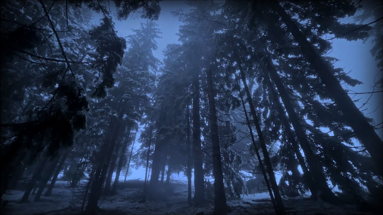 Winter Forest with Falling Snow & Wind | Lost in Fog on a Snowy Mountain | 3 Hours Calm Ambience