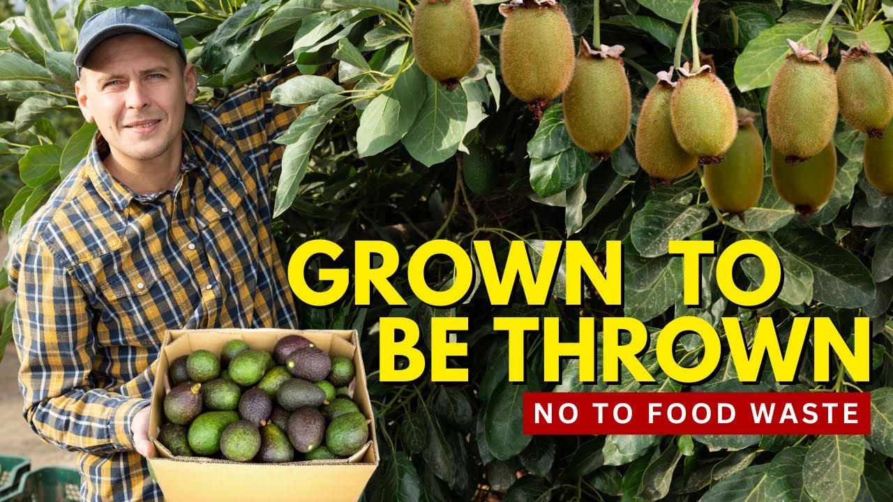 Dumpster Diving (Germany) : GROWN TO BE THROWN