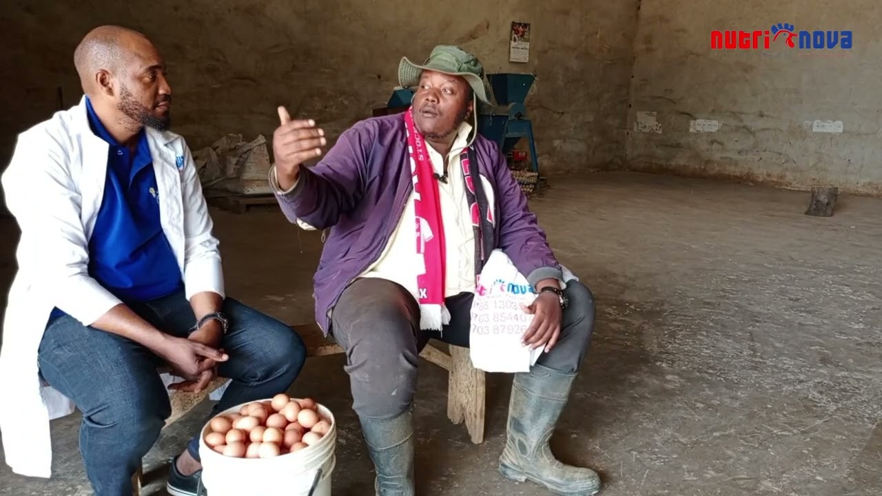 VICTORY OVER FEED CONTAMINATION AT KAMAMA FARM USING FORMYCINE