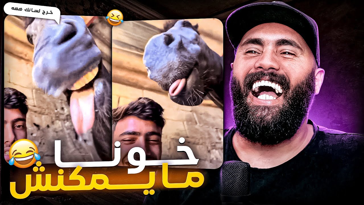 إنه TikTok مغربي يا ساد 🤣❤