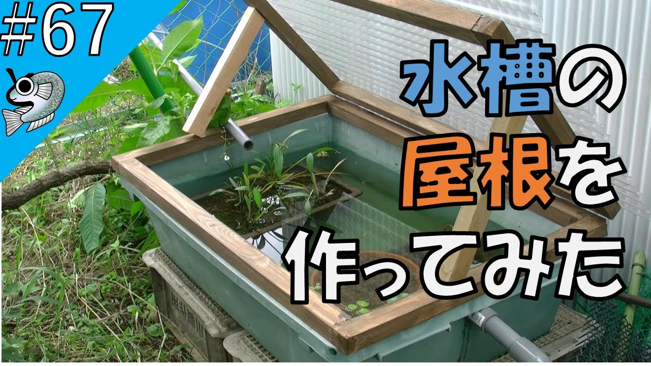 #67 水槽に開閉式屋根を付けた I put a roof on the aquarium【とびっこメダカ】【Medaka】202107011