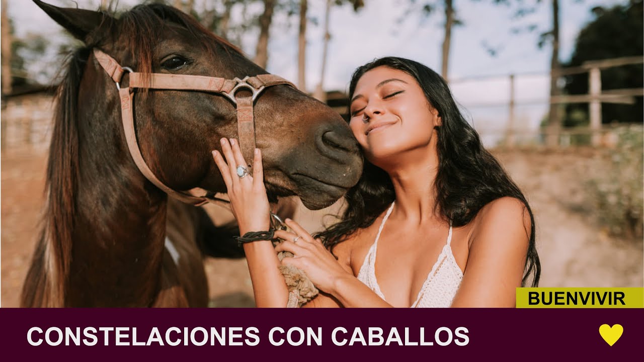 CONSTELACIONES CON CABALLOS - Dr. Bernardo Ferrando - BUENVIVIR💛 12/04/24 Canal 4
