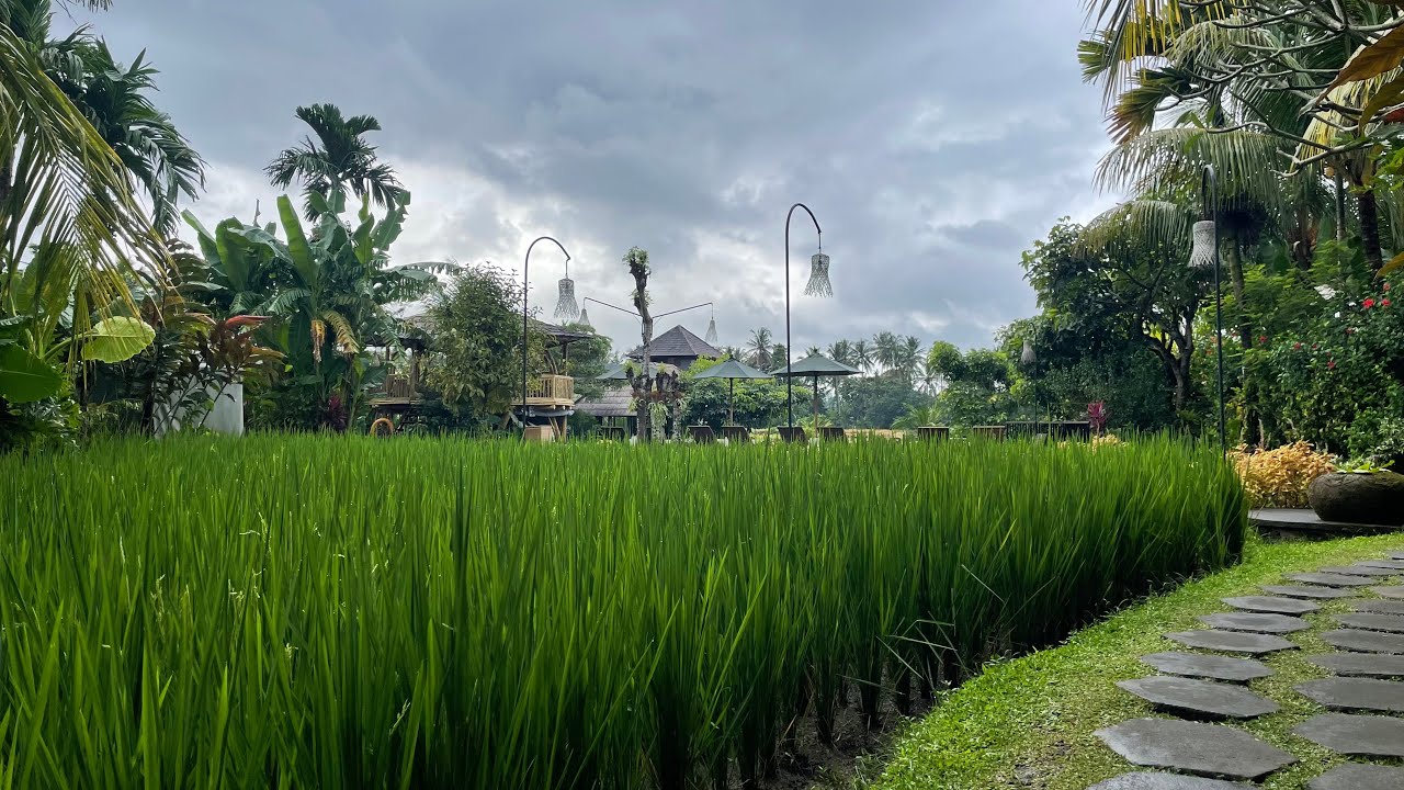 Ubud -Thewakanda Bali 2025