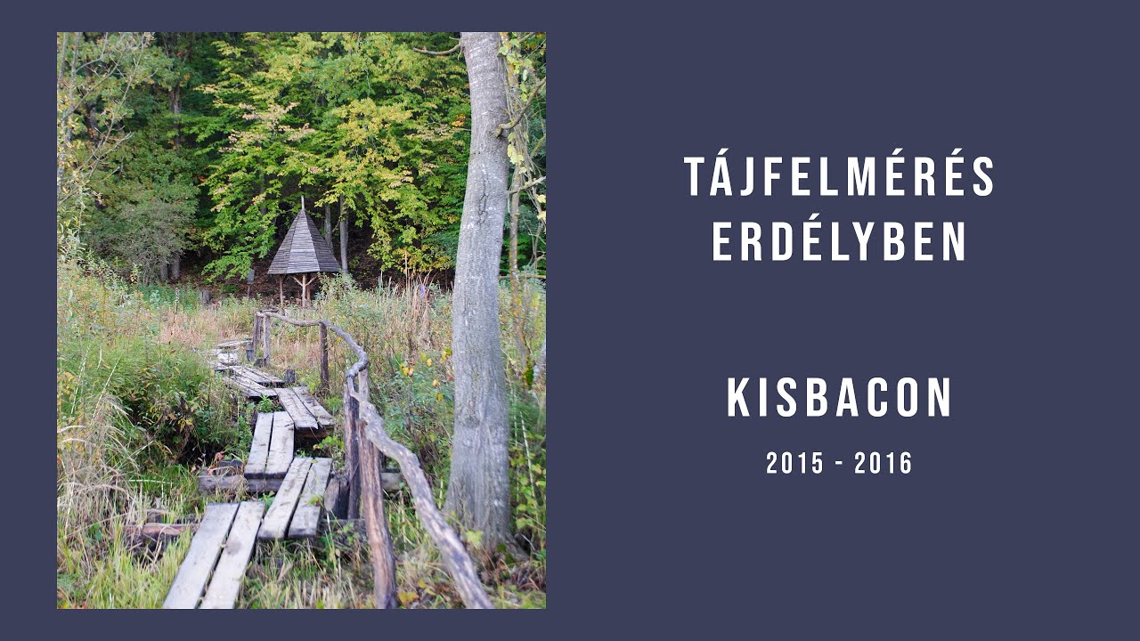 Herczeg &Aacute;gnes - T&aacute;jfelm&eacute;r&eacute;s Erd&eacute;lyben, Kisbacon, 2015-2016