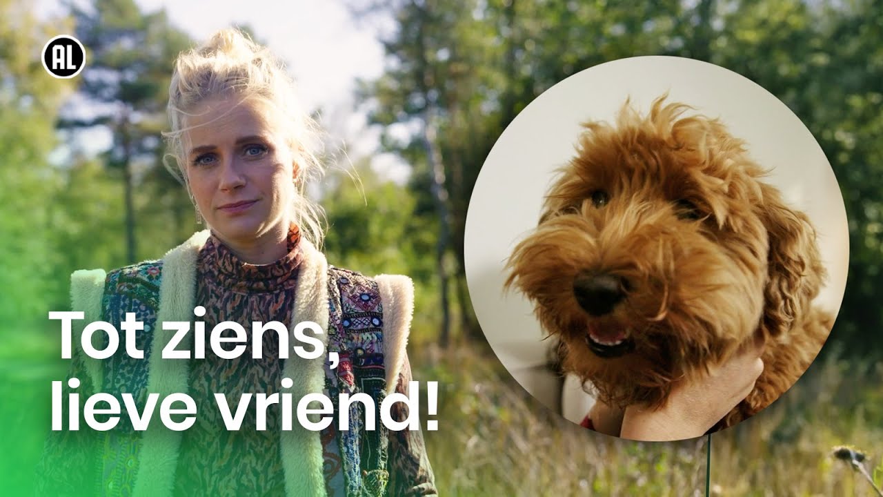 Hoe ga je om met het verlies van je huisdier?