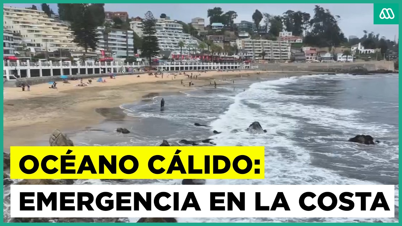 Océano cálido en las costas chilenas podría significar una emergencia