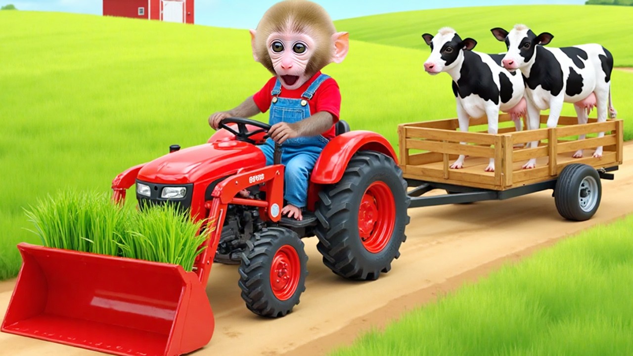 Monkey Nana drives a homemade tractor with a puppy and suddenly has an unexpected tire blowout