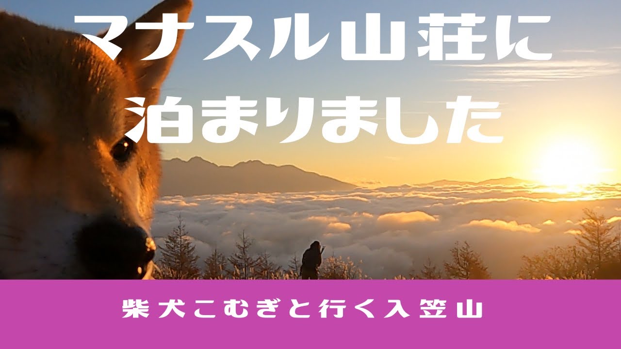 柴犬こむぎを連れてマナスル山荘に泊まりました