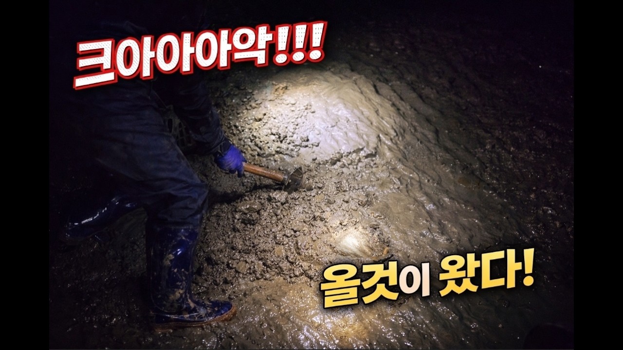 야간 해루질 결국 터졌다!!! 올것이 나왔다