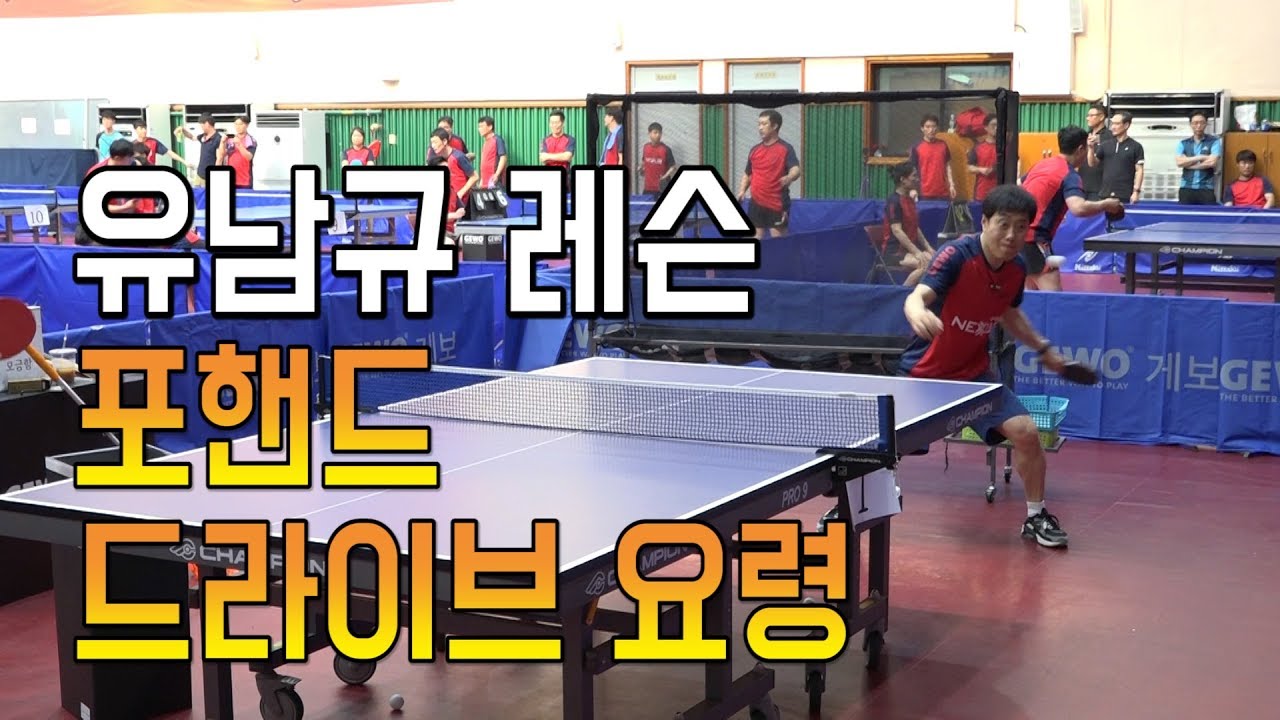 유남규 레슨 포핸드 드라이브 요령