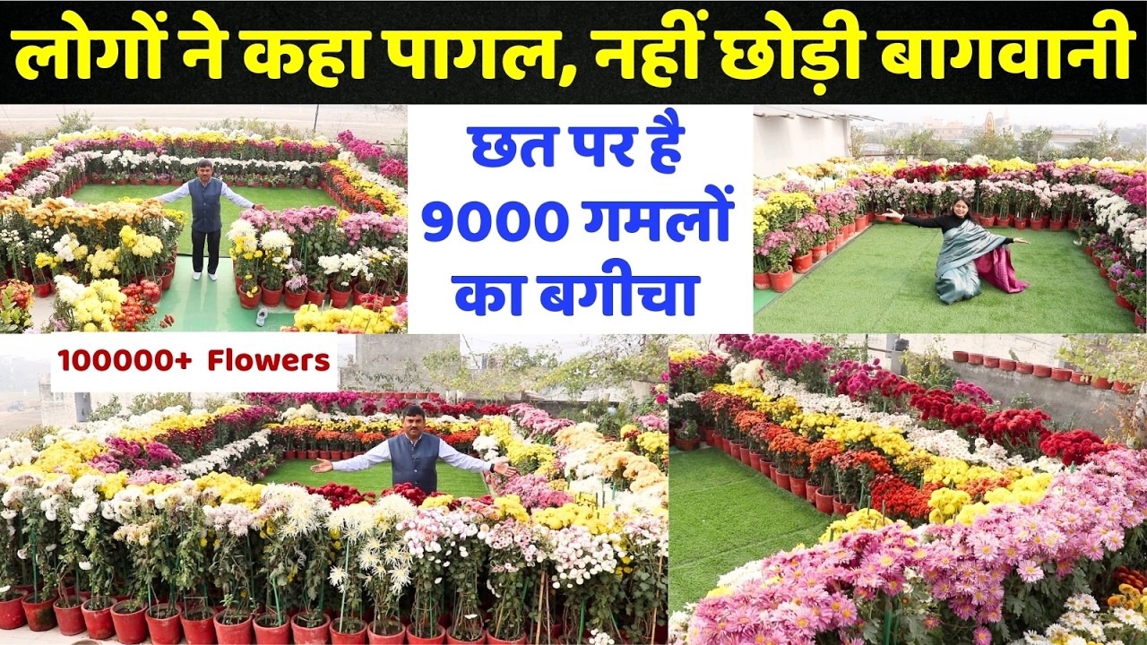 लोगों ने कहा पागल, नहीं छोड़ी बागवानी 😱 छत पर है 9000 गमलों का बगीचा 😍 Best Terrace Garden