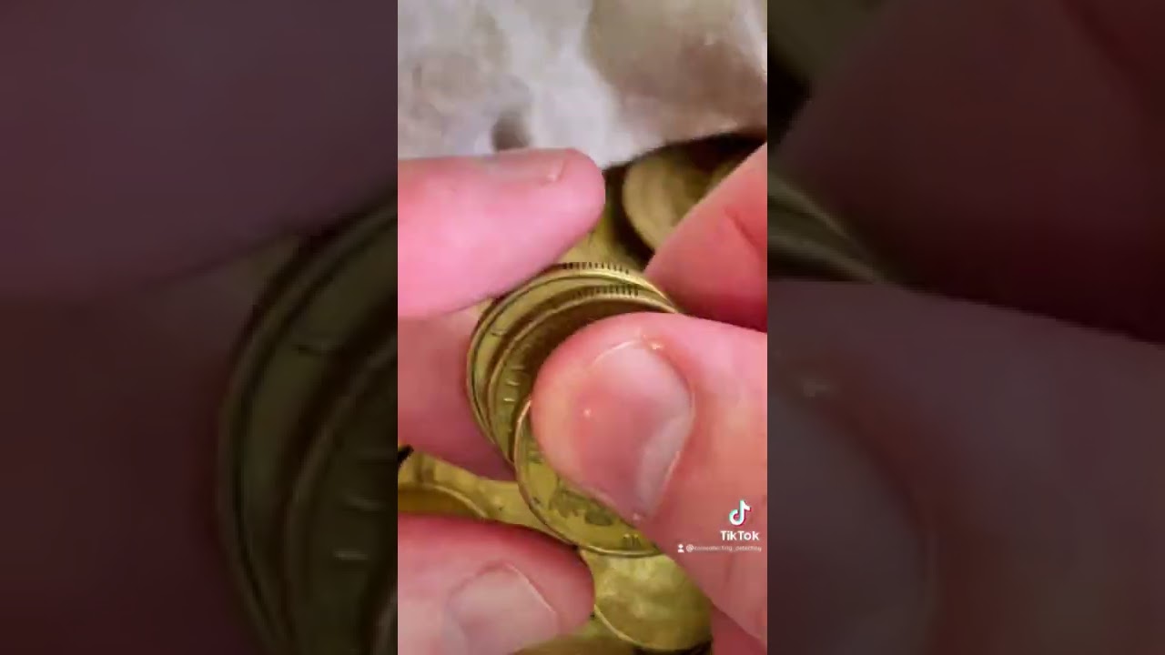 💰$1 MULE HUNT💰 NOODLING FOR VALUABLE ONE DOLLAR COINS ⚡️