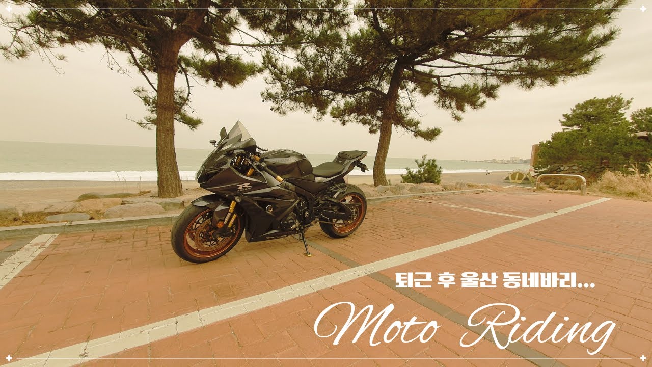 퇴근 후 간단바리 다녀왔습니다(울산 입문자용 코스로 추천) / SUZUKI GSX-R1000R / 리터급 슈퍼 바이크 / 바린이 / 오토바이 브이로그 / 울산 간편 동네바리