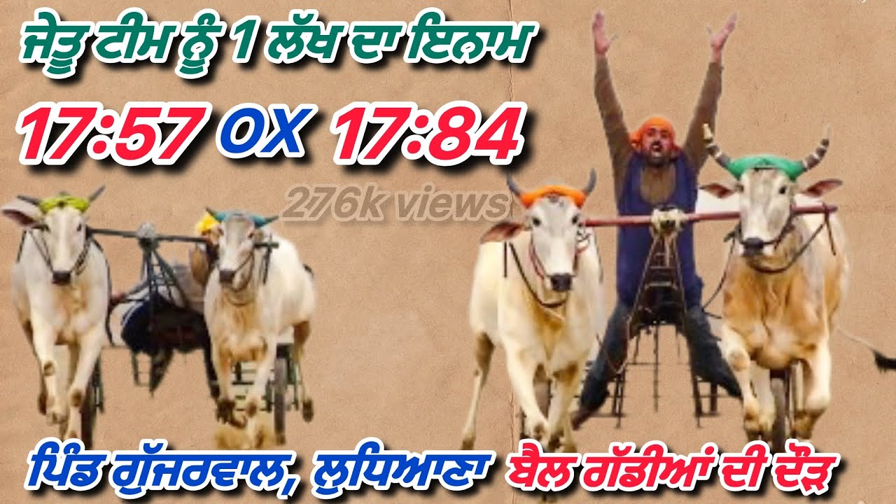 ✅ਬੈਲ ਗੱਡੀਆਂ ਦੀਆਂ ਦੌੜਾਂ ਗੁੱਜਰਵਾਲ, ਲੁਧਿਆਣਾ || Bullock cart racing Gujjrawal Ludhiana