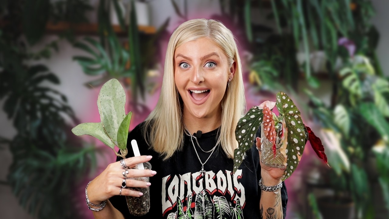 Oops I got new plants.. And they're not what you'd expect!