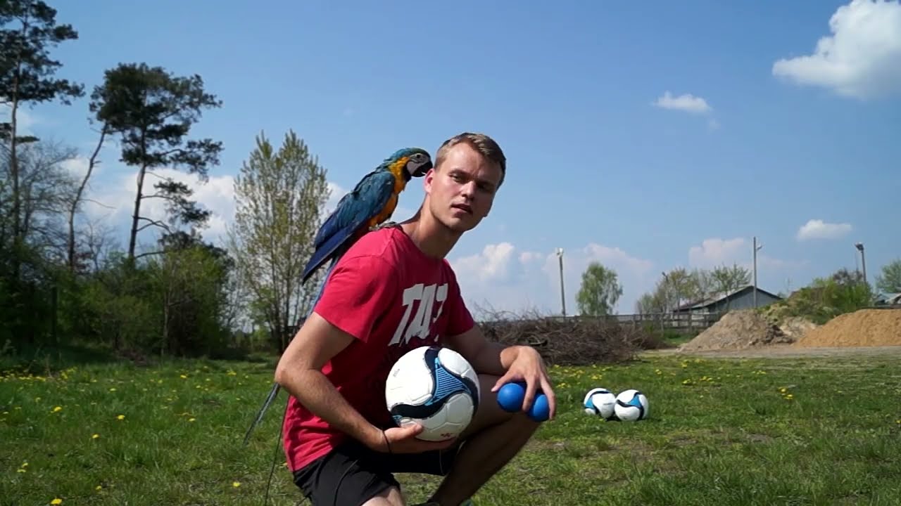 Marek Born Showreel