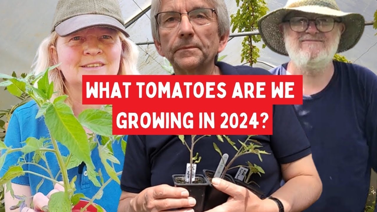 Tomato varieties we're growing in 2024