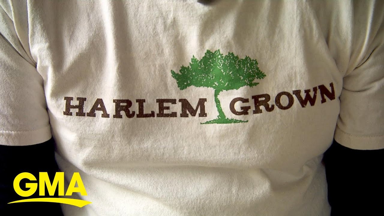 Growing healthy vegetables in New York City