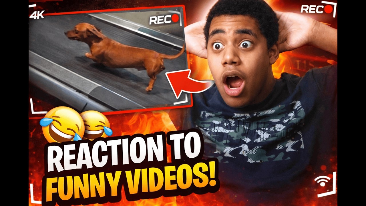 I Tried Not to Laugh… I Failed 💀|Alzino Vlogz|