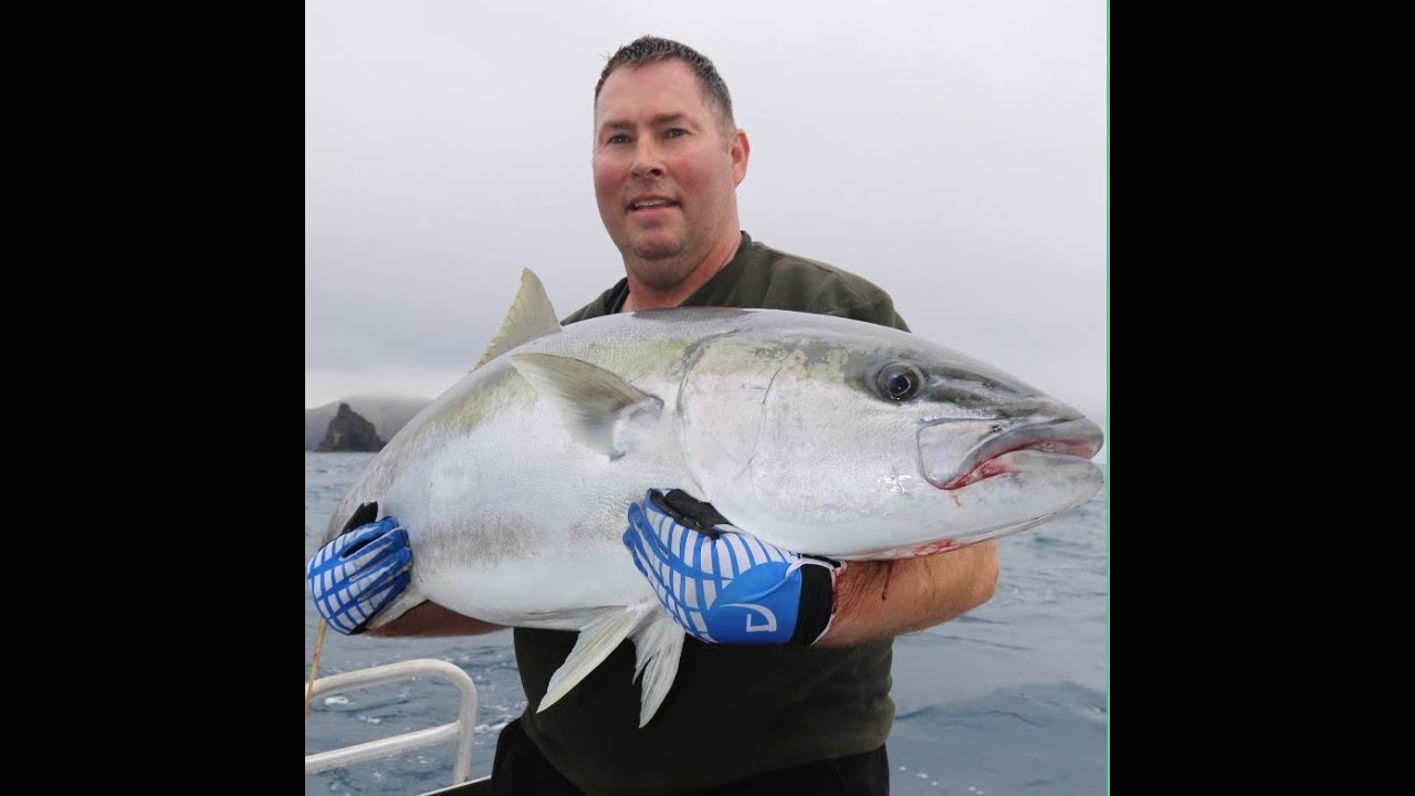 Ultimate Topwater Kingfish - Durville Island New Zealand
