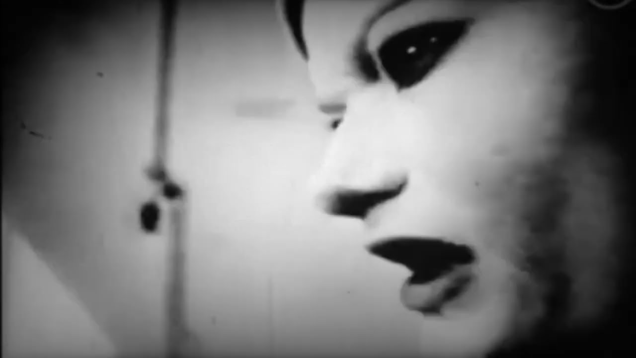Swans ~ Celebrity Lifestyle