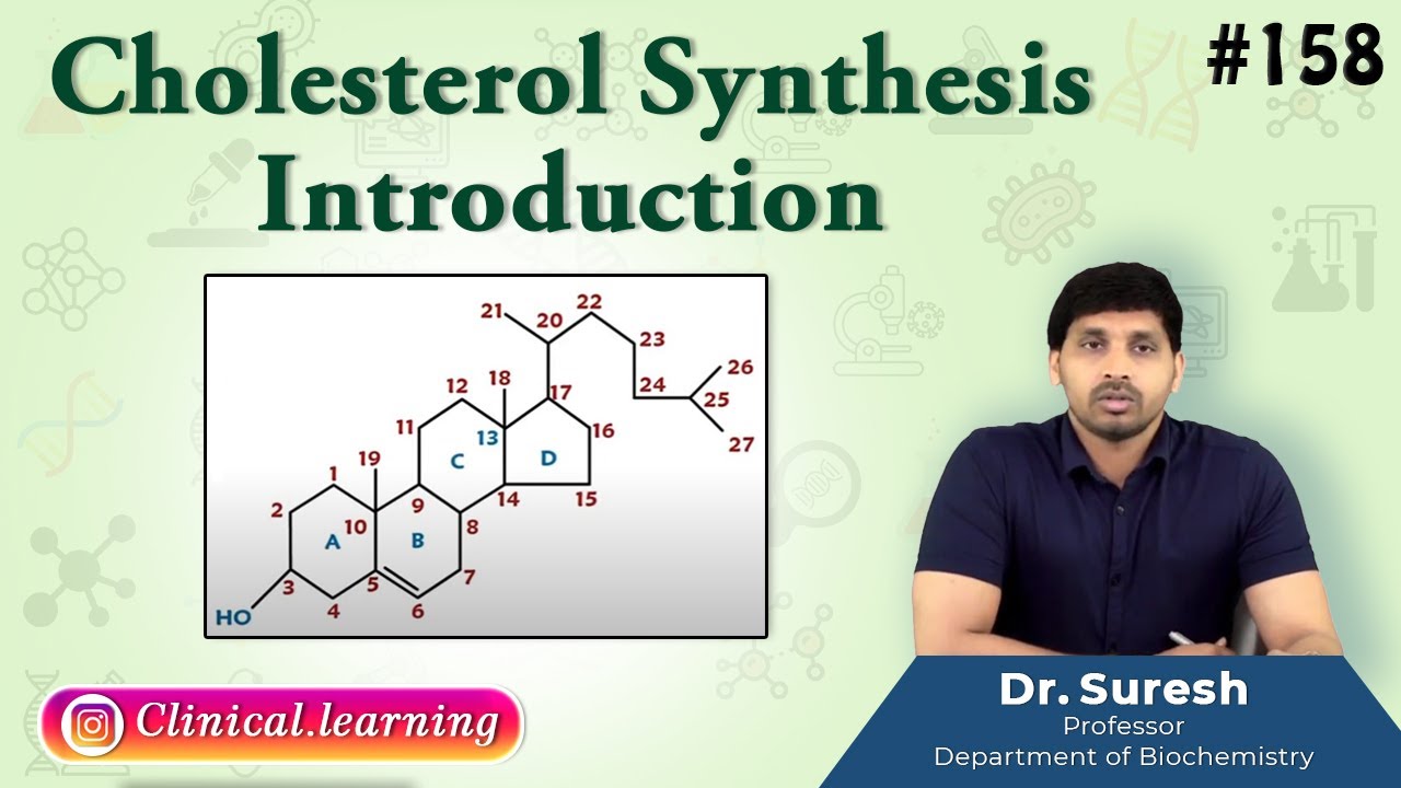 158. Cholesterol Synthesis - Introduction