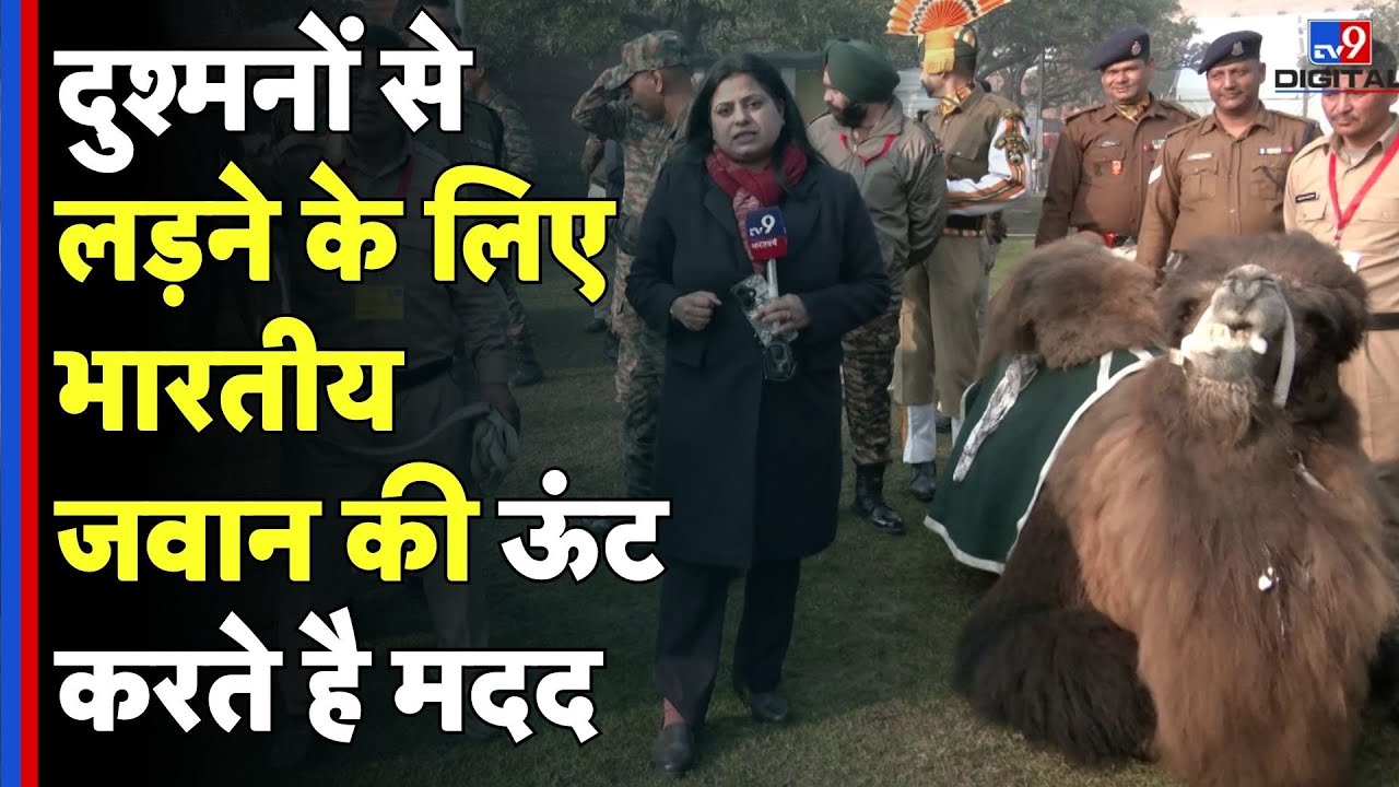 Republic Day Parade Preparation: दुश्मनों से लड़ने के लिए भारतीय जवान की ऊंट करते है मदद  -TV9D |